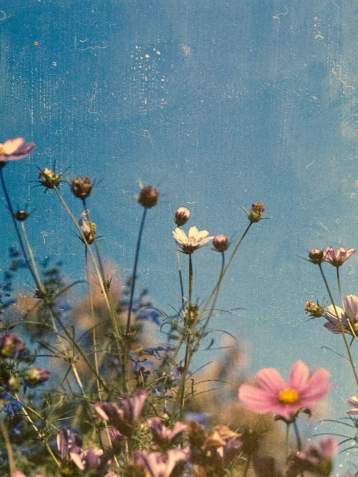 Eternal Embrace Vibrant Blossom Mix