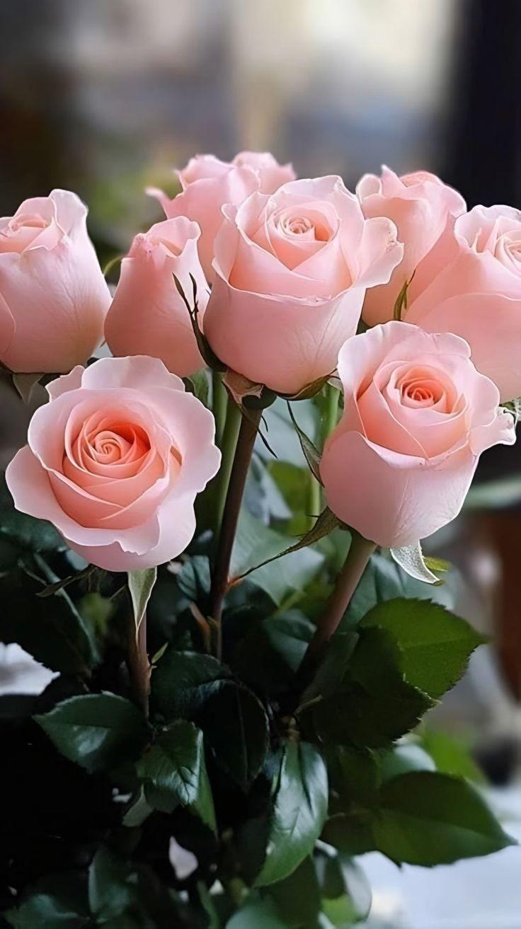 Whisper of Dawn Pastel Array